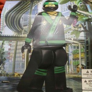 Lego Ninjago Lloyd costume
